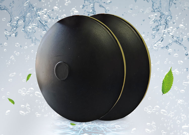 BPB薄(bao)盤型盤式(shi)曝氣器(qi)